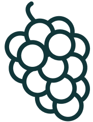 Free from artificial colours icon